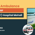 Ambulance service Ivy Hospital Mohali